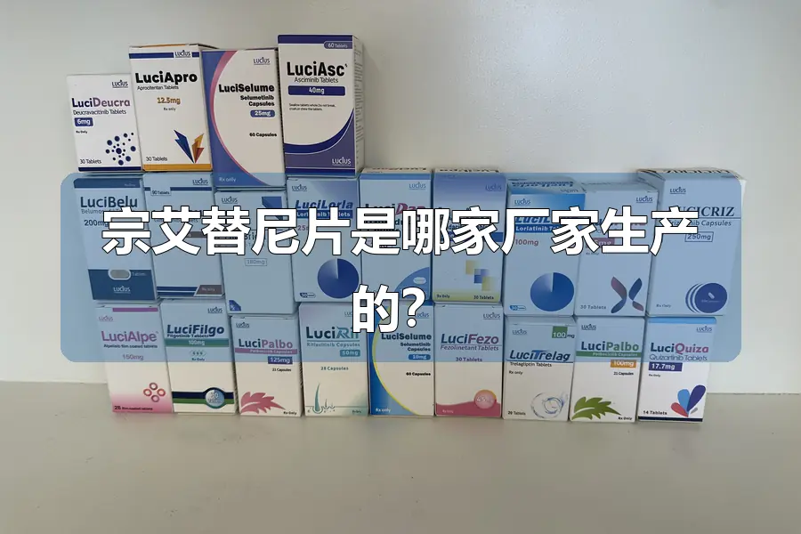 宗艾替尼片是哪家厂家生产的?